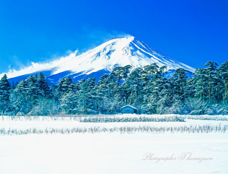19840311-suwanomori45135